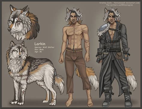 Wolf Shifter Larkin Reference by NatsumeWolf on DeviantArt