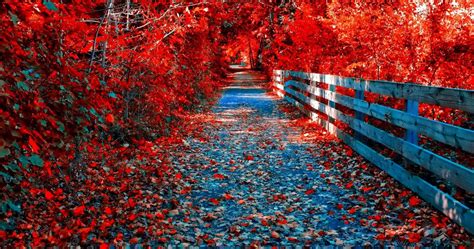 4K Ultra HD Autumn Wallpapers - Top Free 4K Ultra HD Autumn Backgrounds - WallpaperAccess