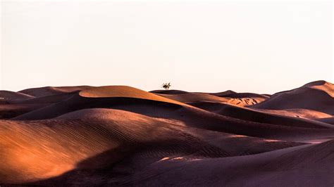 sand dunes during daytime Mac Wallpaper Download | AllMacWallpaper