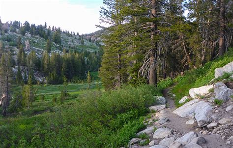 Hiking Tahoe Meadows (via Mount Rose HWY/SR 431 near Incline Village, NV) | Tahoe Trail Guide