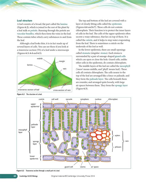 Cambridge IGCSE Biology Coursebook (third edition) by Cambridge ...