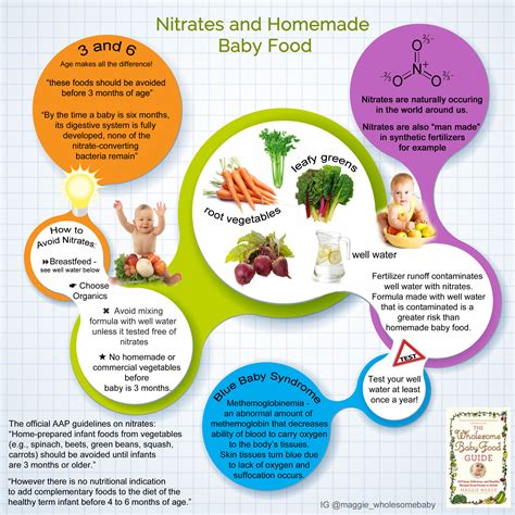 Nitrates - Carrots & The Nitrates and the Homemade Baby Food Myth ...