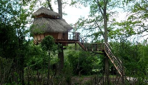 Tree House Stay France