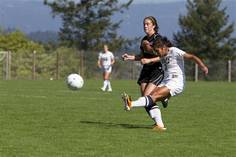 Fall Sports Recap - City on a Hill Press