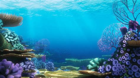 Finding dory background. finding dory, 1536x864 HD wallpaper | Pxfuel