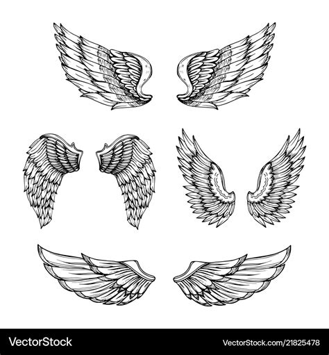 Hand drawn wing sketch angel wings with feathers Vector Image