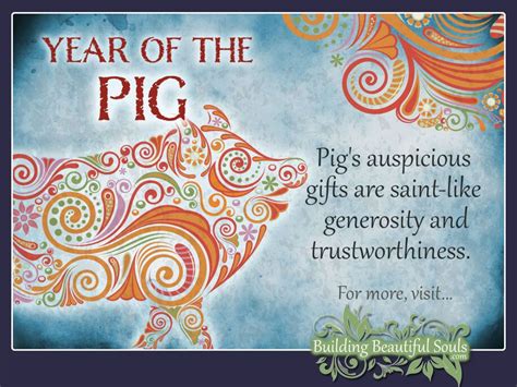 Chinese Zodiac Pig | Year of the Pig | Chinese Zodiac Signs Meanings