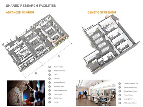 Completed, the Skolkovo Institute of Science and Technology by Herzog & de Meuron | The Strength ...