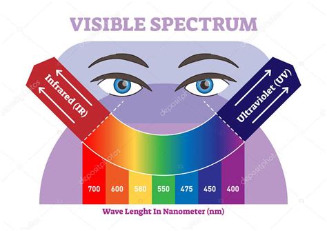 Esquema de ilustración de vectores de espectro visible, esquema de ...