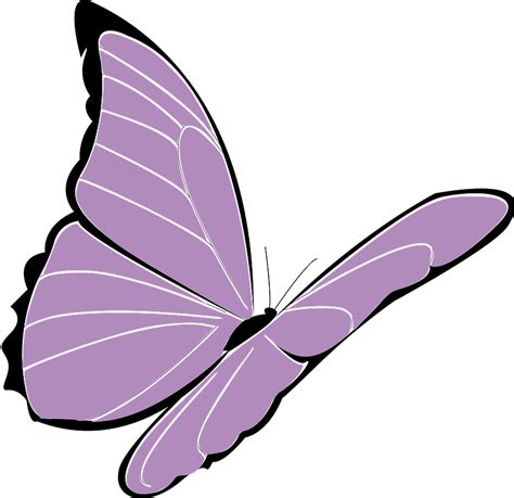 Purple butterfly clipart. Free download transparent .PNG | Creazilla