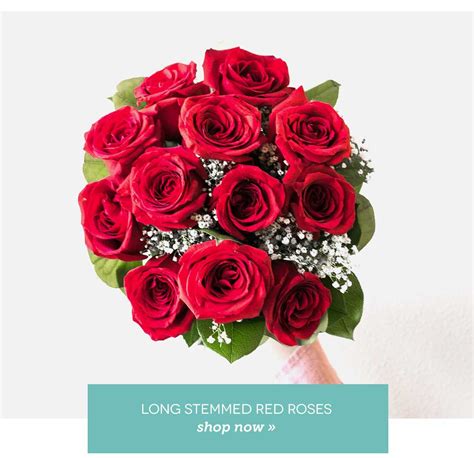 FromYouFlowers.com: Get Holiday Ready! Up to 50% Off Festive Roses | Milled