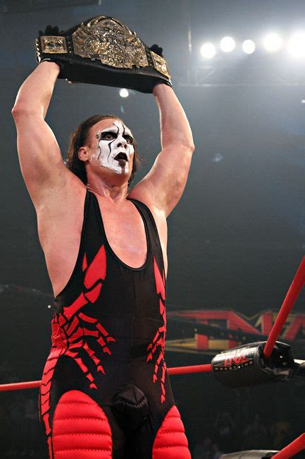 Sting as TNA World Heavyweight Champion | Wrestling wwe, Wrestling ...