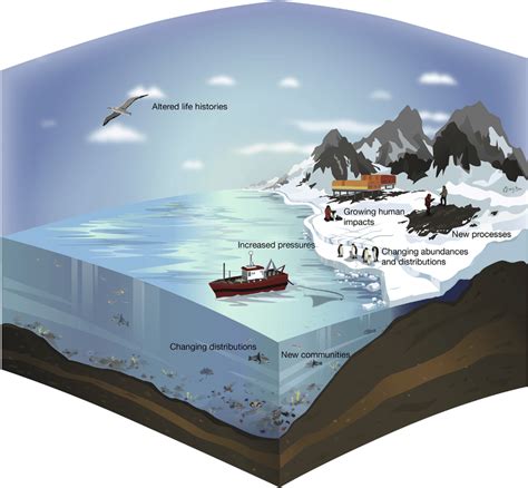 A Schematic Illustration of Key Aspects of the ''Antarctic Life on the ...