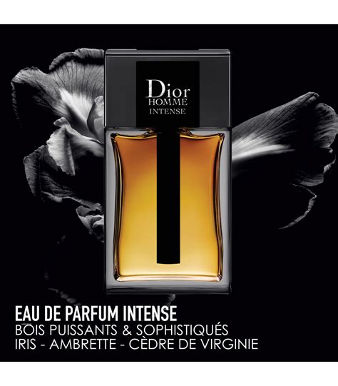 Dior Homme Intense Fragrance 2025 - Agatha Lyndsey