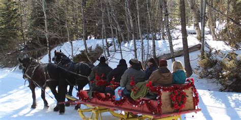 Horse Drawn Sleigh Rides | | Yak-Ridge Cabins | Near Mt. Rushmore