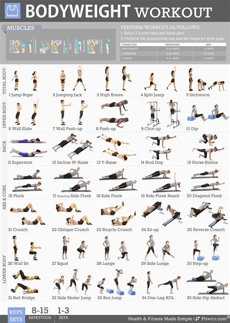 Tone & Tighten Home/Gym Posters Set of 5 Exercise Charts 19"x27" Now ...