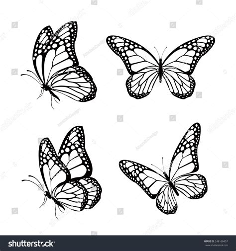 Black And White Clipart Of Butterflies