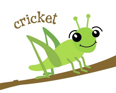 Cricket Insect Clipart - ClipArt Best