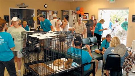 Blount County Animal Shelter adoption event | Community | thedailytimes.com