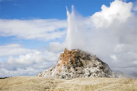 White Dome Thermal Geyser Eruption Yellowstone Park Stock Image - Image of fountain, eruption ...