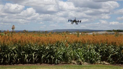 [Webinar] Drone mapping in agriculture | Pix4D