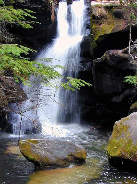 Muscle Shoals National Heritage Area » Dismals Canyon Conservatory