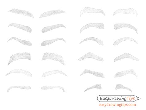 How to Draw Eyebrows Step by Step - EasyDrawingTips