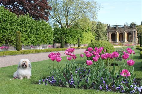 Trentham Gardens | The Trentham Estate | Staffordshire - Paws across ...