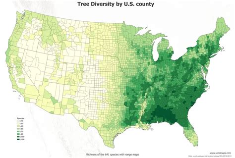 The diversity of trees in the US mapped - Vivid Maps