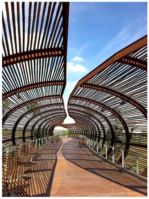 Line, Light, Movement | Shade structure, Architecture design, Bamboo architecture