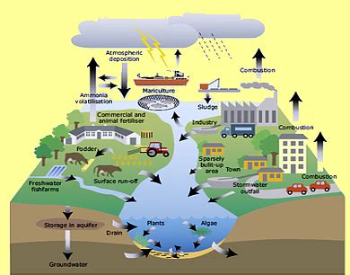 Agriculture Pollution | OER Commons