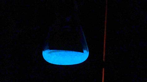 Glowing bioluminescent bacteria in culture - YouTube