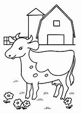 Farm Cow coloring Page  Download Print Or Color Online For Free sketch template