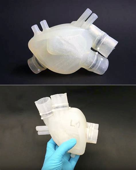 Researchers Use 3D-Printer to Create an Artificial Beating Heart from Silicone - TechEBlog