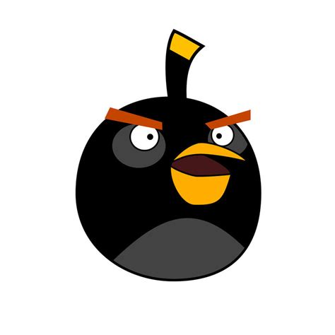 Black Bomb Bird - Angry Birds Photo (34464154) - Fanpop