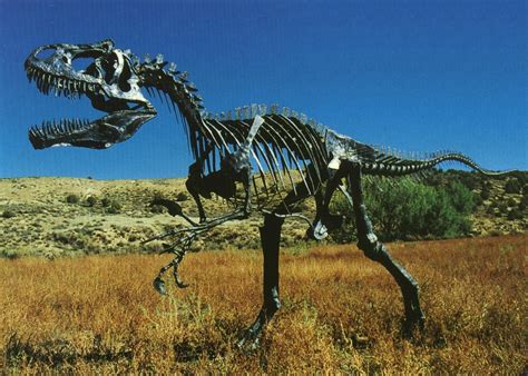 Allosaurus Thermopolis Wyoming dinosaur center | Prehistoric dinosaurs ...