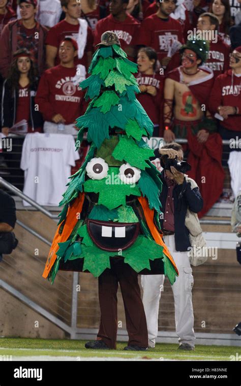 Nov 12, 2011; Stanford CA, USA; The Stanford Cardinal mascot on the ...