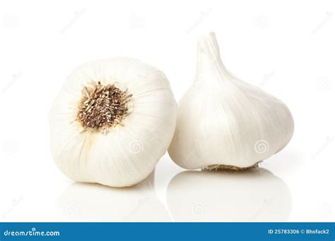 Fresh Organic Garlic Cloves Royalty Free Stock Image - Image: 25783306