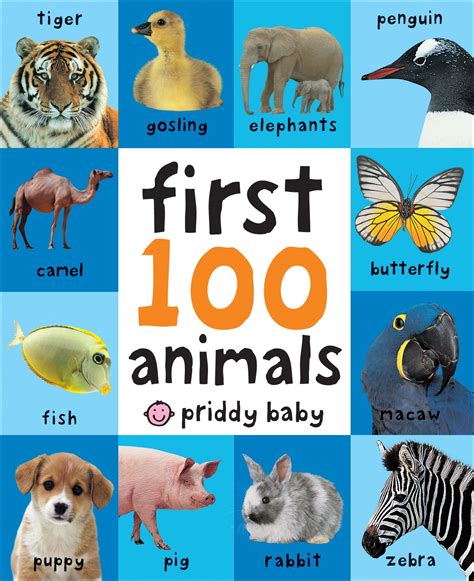 Babys First Animals Book - A Baby S First Word Book Of Animals By ...