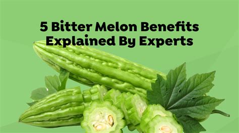 5 Bitter Melon Benefits Explained By Experts | Good Supplements