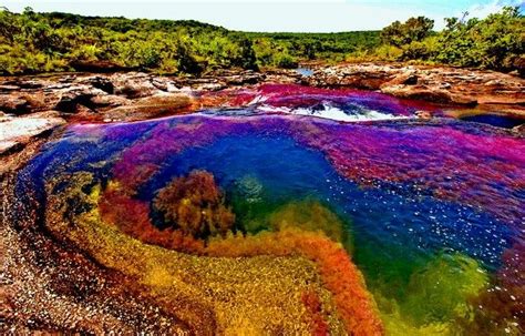 Rainbow River in Columbia | Rainbow river, Cool places to visit, Beautiful places nature