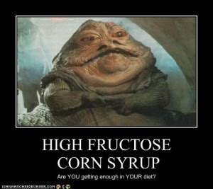 Stupid High Fructose Corn Syrup | My Crunchy Life