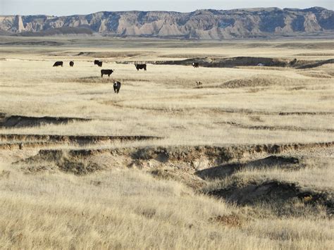 South Unit, Badlands National Park | Views from a day spent … | Flickr