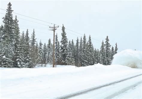 Snowfall warning issued by Environment Canada - Airdrie News