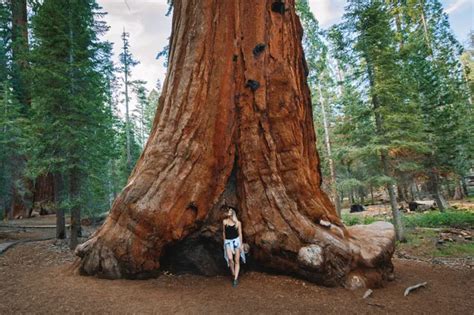 8 Best Day Hikes In Sequoia National Forest