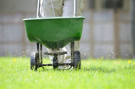 Lawn Overseeding Mississauga | Weed-A-Way Lawn Care