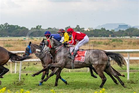 Three Indian horses racing in horse race at Pune racecourse, Maharashtra, India, 2021 : Anipixels