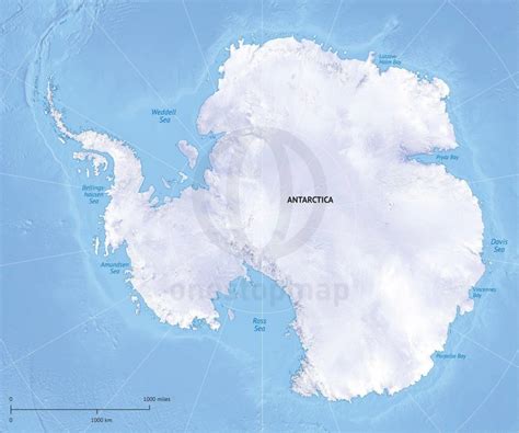 Vector Map Antarctica Continent Relief | Maps Of Continents | Map ...