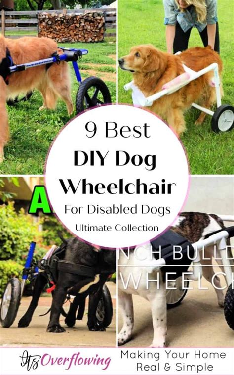 9 Best DIY Dog Wheelchair Plans For Disabled Dogs Rescue Dogs, Pet Dogs, Doggies, Dachshunds ...