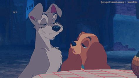 Lady And The Tramp GIF - Find & Share on GIPHY